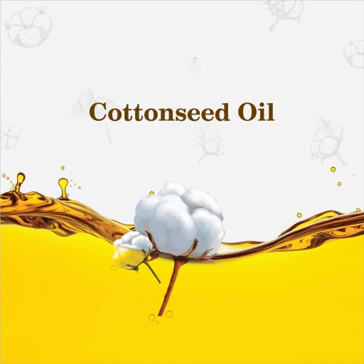 Organic Cotton Cold Press Oil